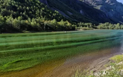 Pierre du mois de Mai